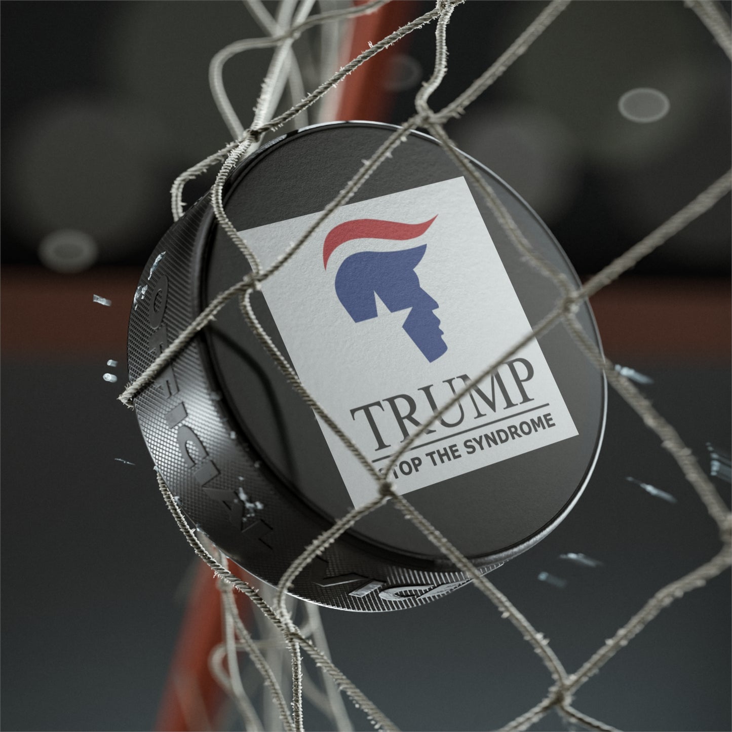 Hockey Puck